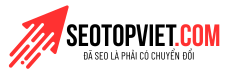 Seo top Viet Nam