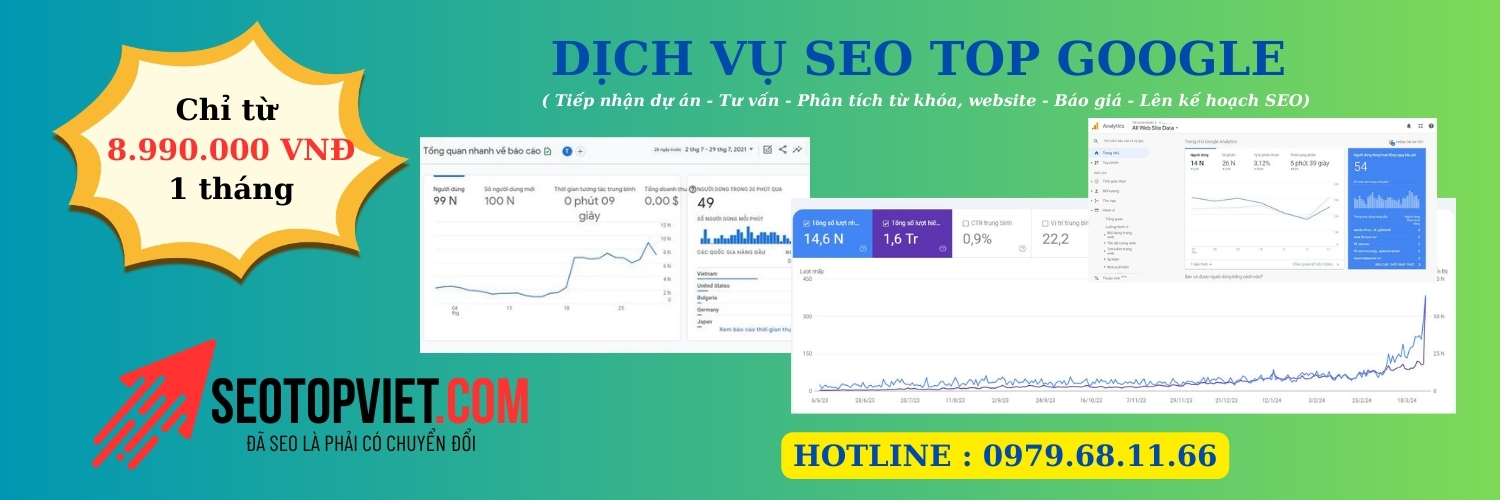 Dịch vụ SEO website Top Việt